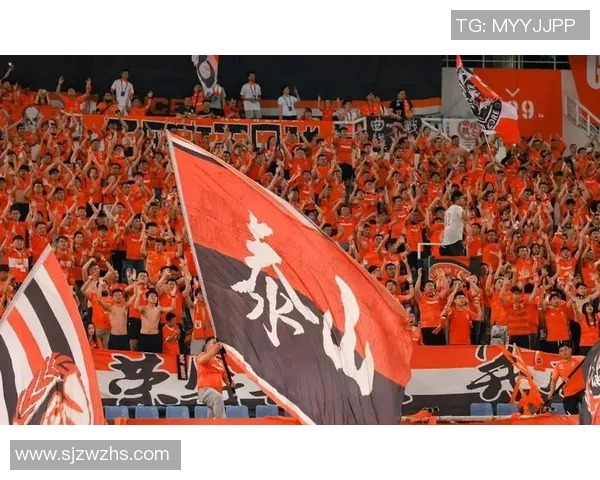 成都排球队节奏对比分析：战术风格与比赛表现的深度探讨