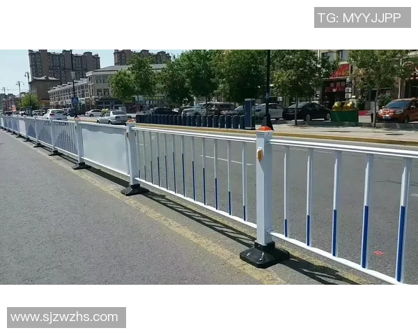 交通护栏在城市道路安全中的重要作用与设计优化研究